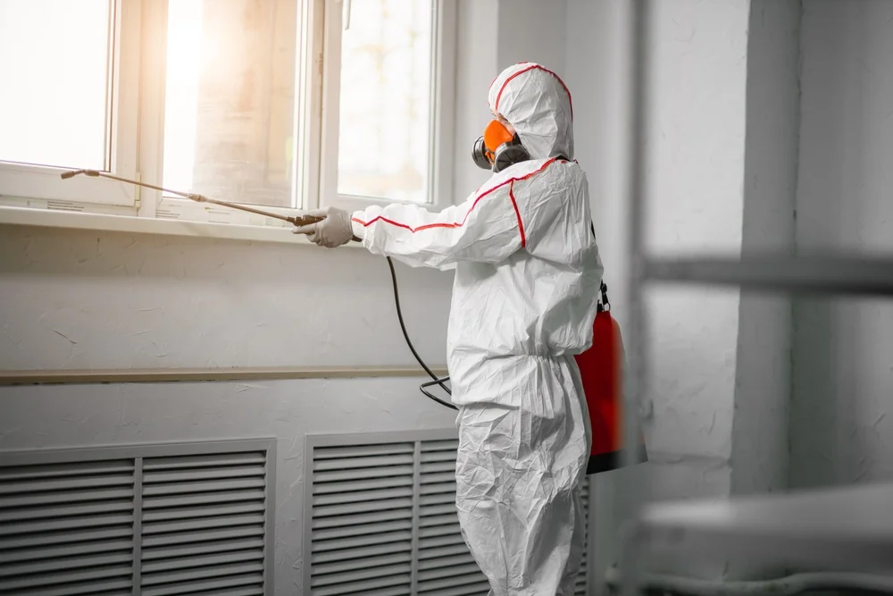 Professional mold remediation services in Mogadore, OH